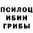 Псилоцибиновые грибы Psilocybe Askarona