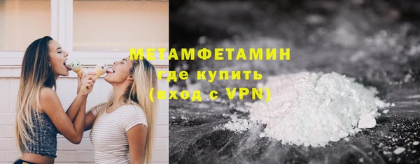 индика Дмитриев