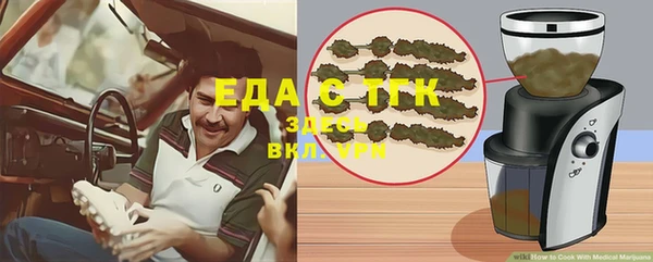 индика Дмитриев