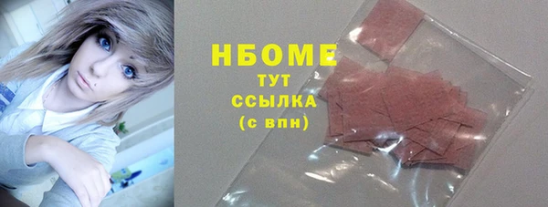 индика Дмитриев