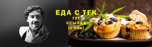 индика Дмитриев