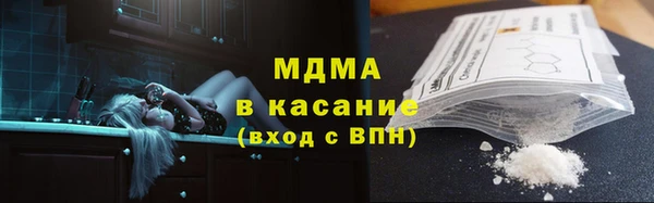 индика Дмитриев