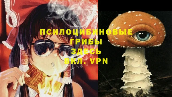 прущие крисы Дмитров