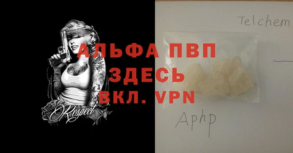 индика Дмитриев