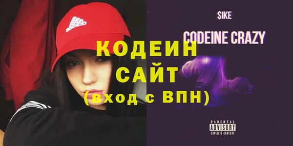 индика Дмитриев