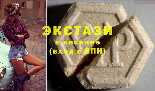 индика Дмитриев