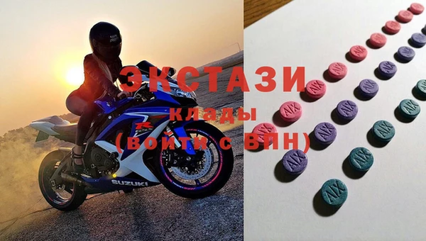 индика Дмитриев