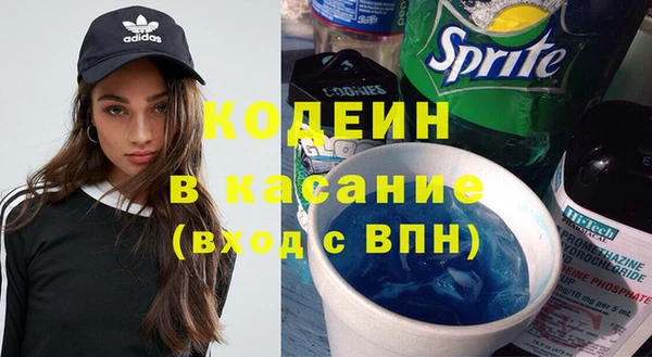 индика Дмитриев