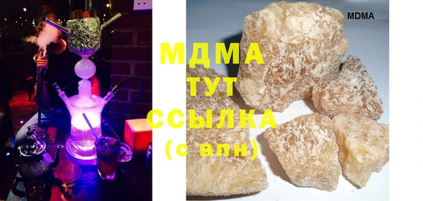 индика Дмитриев
