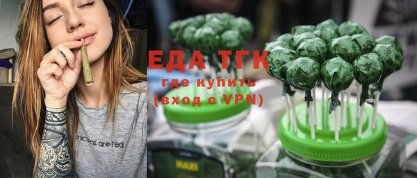 индика Дмитриев