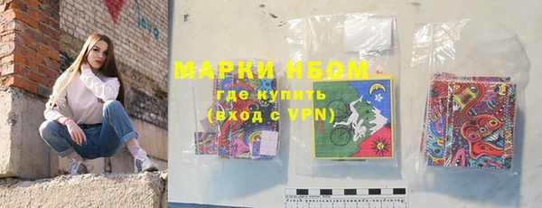 индика Дмитриев