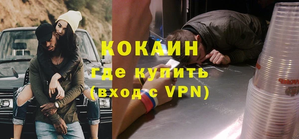 индика Дмитриев